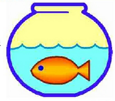 ANIMAL ANTICS: Goldfish
