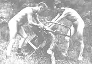 BUFF BLUFF: Nude Bowsaw