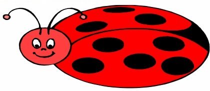 ANIMAL ANTICS: Ladybird realisation